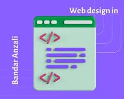 طراحی حرفه ای سایت در انزلی