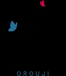 سایت فروشگاهی آرایشی