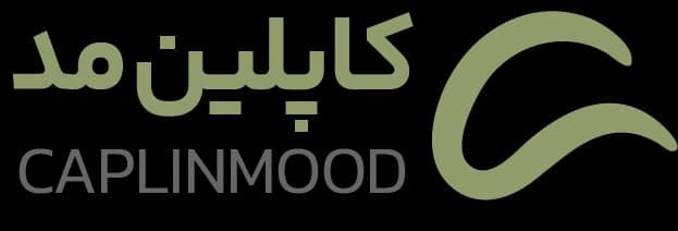 سایت فروشگاهی کاپلین مد
